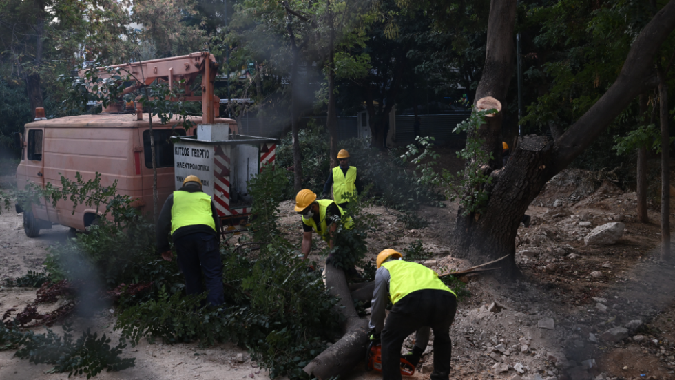 Kόβουν τα δέντρα στην πλατεία Εξαρχείων